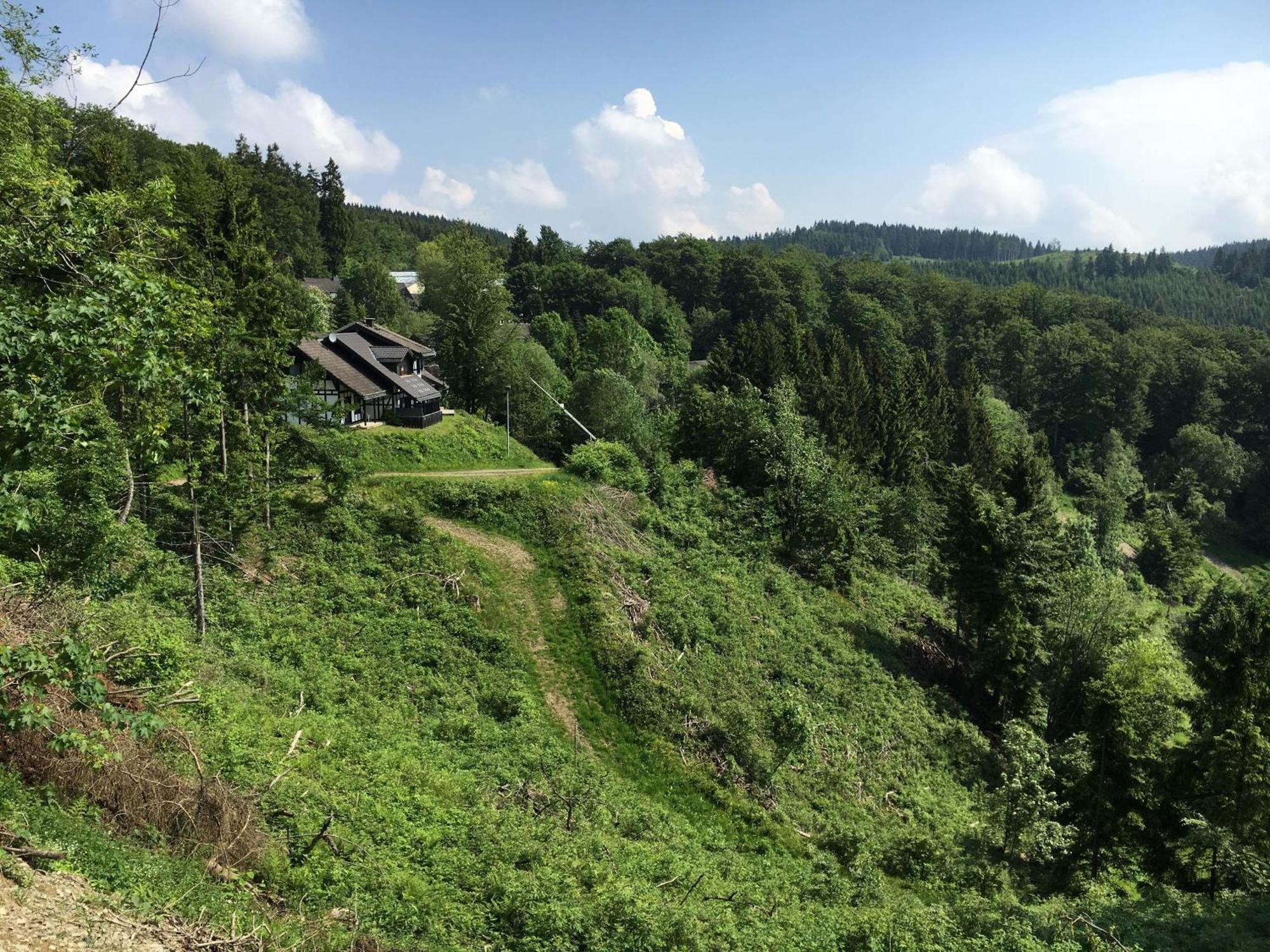 Landhaus-Postwiese Winterberg Eksteriør bilde
